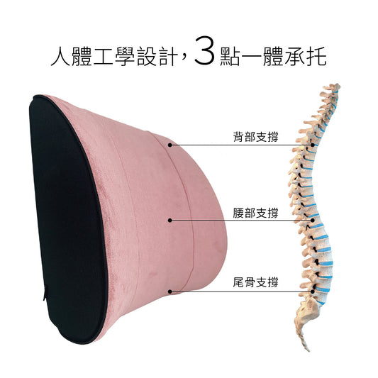 鹿纖絨記憶棉腰靠枕 車用辦公室護腰墊 | 可拆洗 人體工學 多色可選 | Carster 私推好物